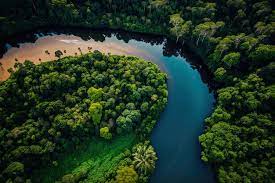 Floresta amazonica 01 - Maravilhas Naturais do Brasil e do Mundo