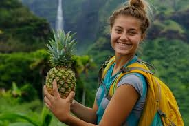 Turismo brasileiro2 - Turismo brasileiro: Destinos Imperd&iacute;veis